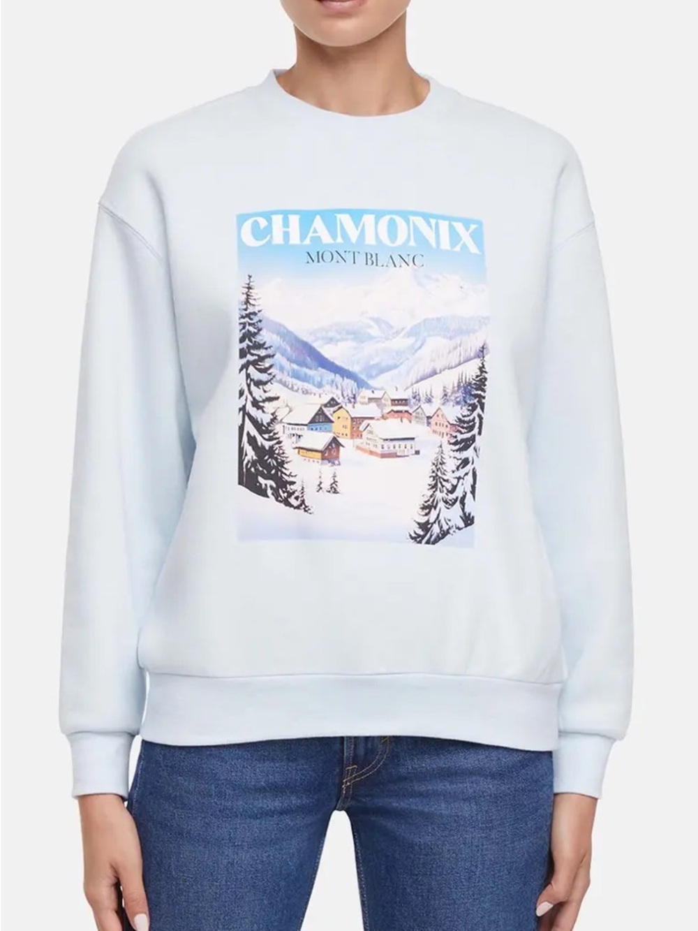 NWT Wildfox Chamonix Charlie Sweatshirt Ballad Blue Graphic Front Size Small